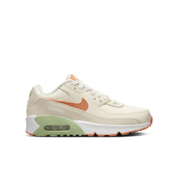 Nike Air Max 90 LTR (GS)