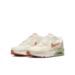 Nike Air Max 90 LTR (GS)