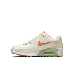 Nike Air Max 90 LTR (GS)